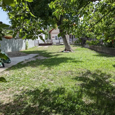 Apartment Pingo 1 Despotovac