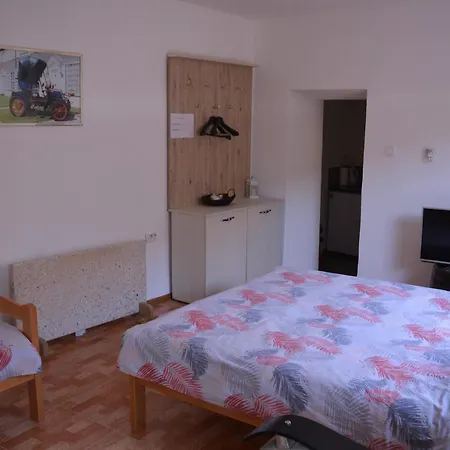 Apartment Pingo 1