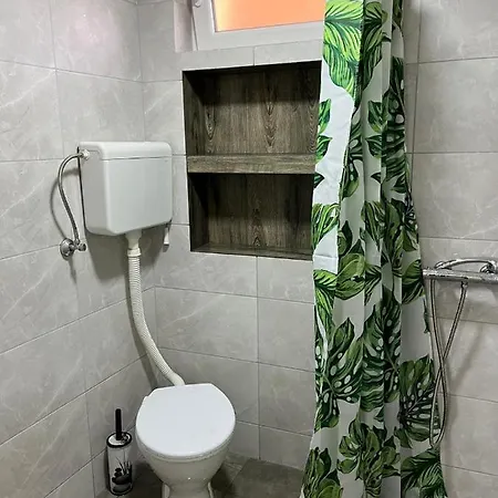 Pingo 1 Despotovac