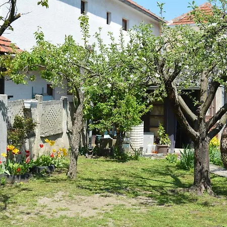 Pingo 1 Apartment *
